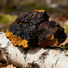 Load image into Gallery viewer, Certified Organic Mushroom Extract Powder