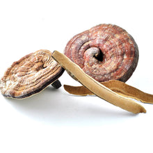Load image into Gallery viewer, Certified Organic Mushroom Extract Powder