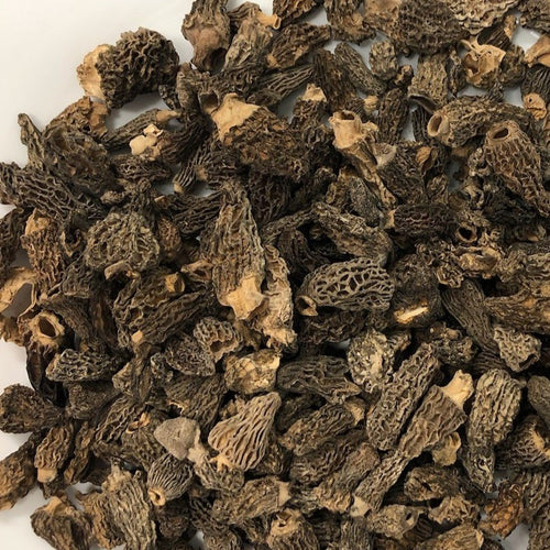 dried mini morels (morchella conica)