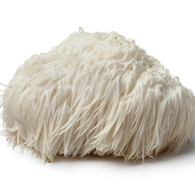 Load image into Gallery viewer, Certified Organic Mushroom Extract Powder
