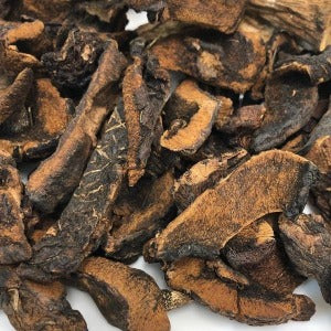 Dried Mushroom (Boletus Luteus Mushrooms) 15 Oz, Jumbo Jar – Its