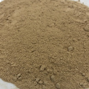 Champignon Powder, Agaricus Bisporus Powder